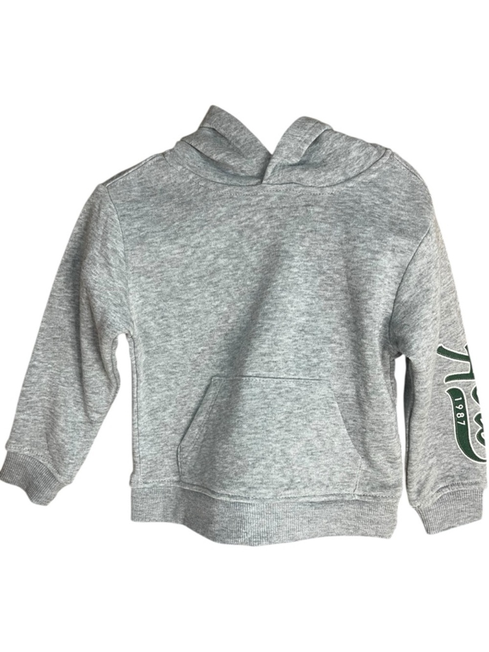 Aeropostale Hoodie Sweatshirt Gray